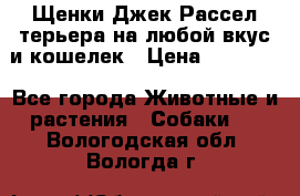 Щенки Джек Рассел терьера на любой вкус и кошелек › Цена ­ 13 000 - Все города Животные и растения » Собаки   . Вологодская обл.,Вологда г.